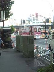 �n�s���̍L��